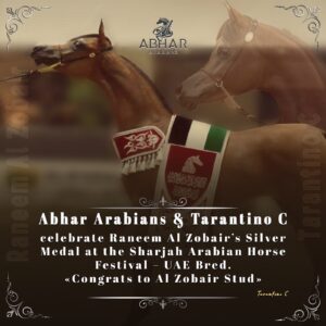 Abhar Arabians & Tarantino C celebrate Raneem Al Zobair’s